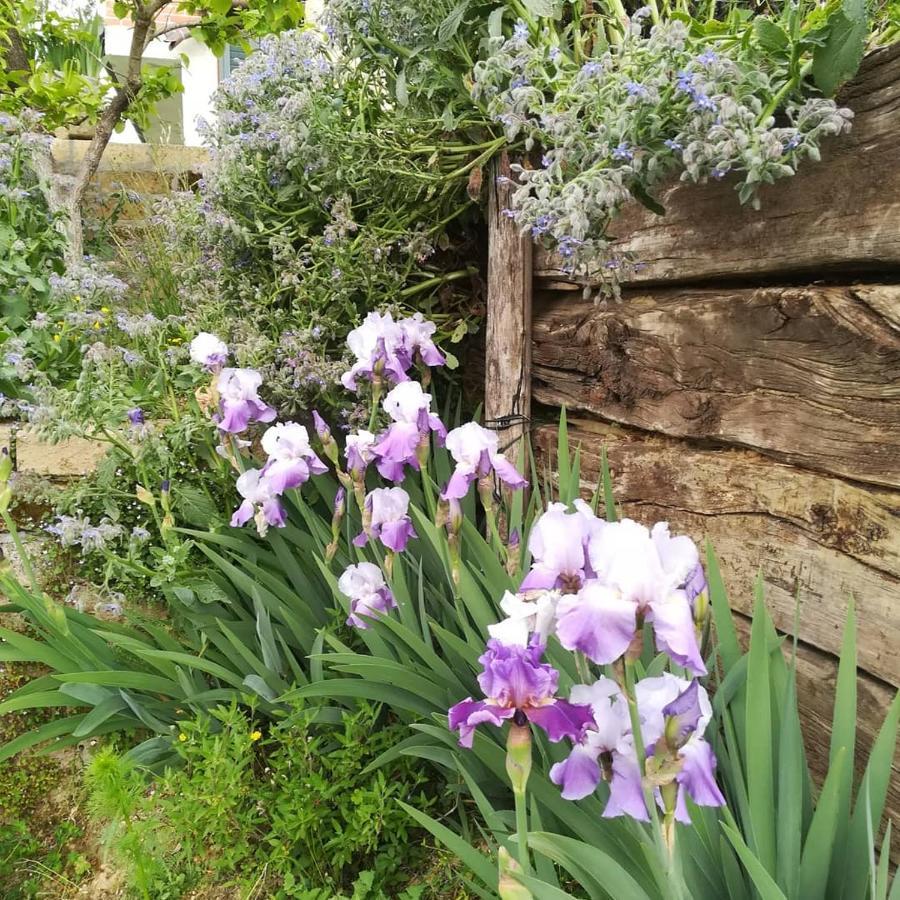 Ca Nostra Restaurant Country house *